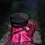 Soba Tete Tile - Hisa Ob Gozdu *