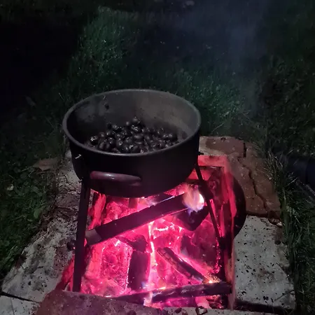 Soba Tete Tile - Hisa Ob Gozdu *