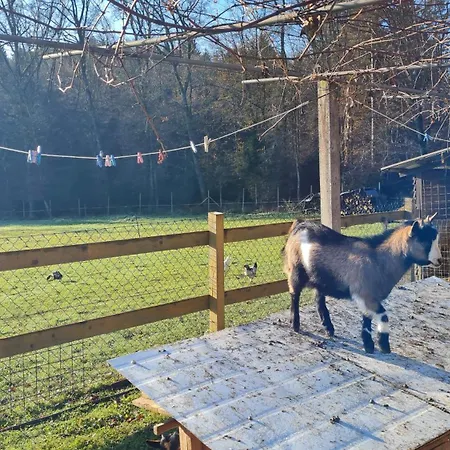 Soba Tete Tile - Hisa Ob Gozdu Ptuj