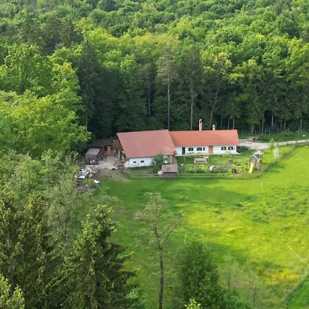 Soba Tete Tile - Hisa Ob Gozdu Ptuj
