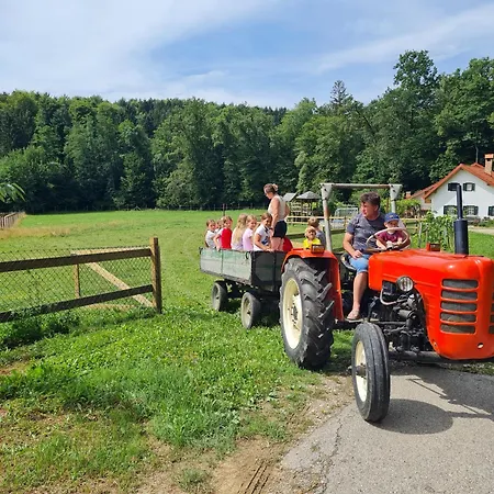 Soba Tete Tile - Hisa Ob Gozdu Lantgård *