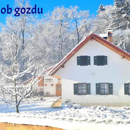 Smještaj na farmi Soba Tete Tile - Hisa Ob Gozdu
