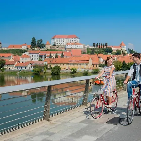 Soba Tete Tile - Hisa Ob Gozdu * Ptuj