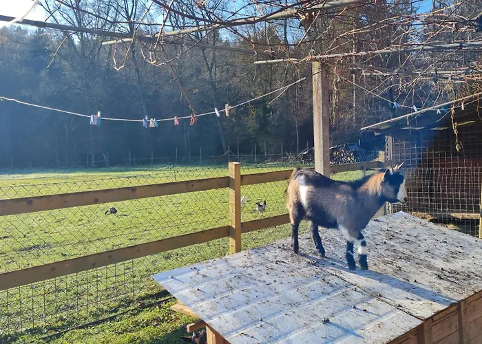 Soba Tete Tile - Hisa Ob Gozdu Ptuj