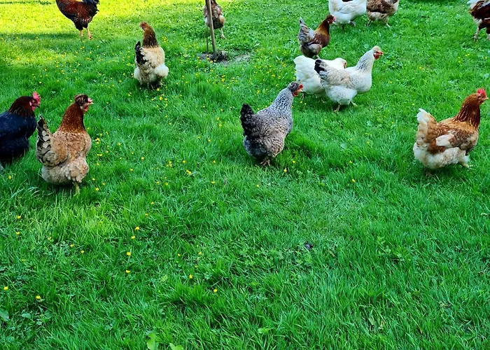 Gospodarstwo agroturystyczne Soba Tete Tile - Hisa Ob Gozdu *